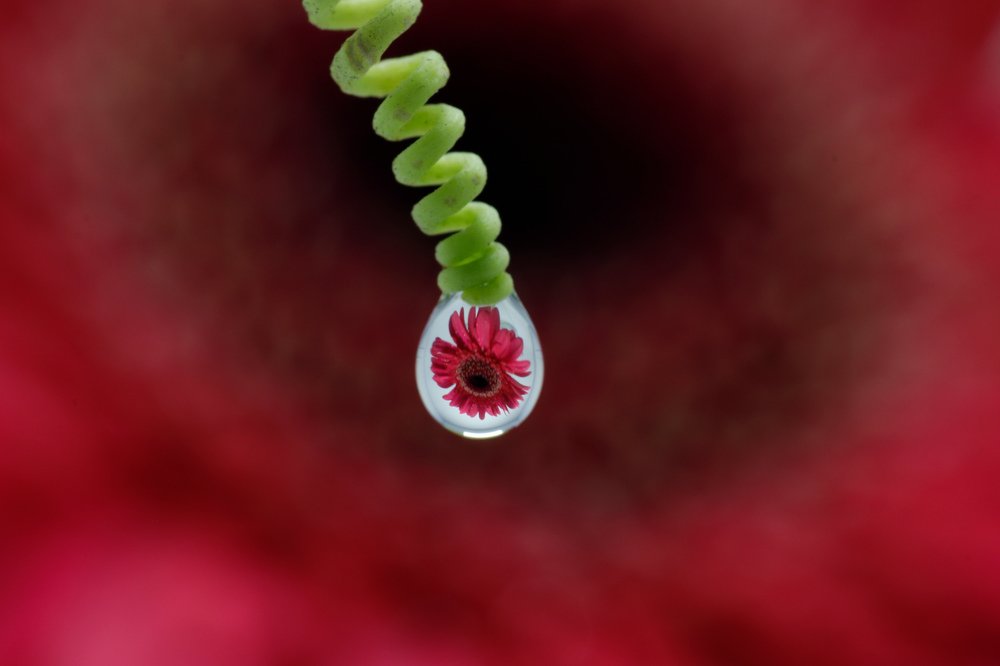 Photograph by Vishal Chandekar