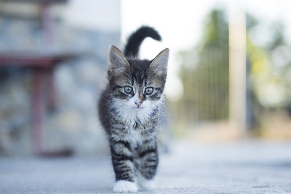 Photograph by Екатерина Фокина