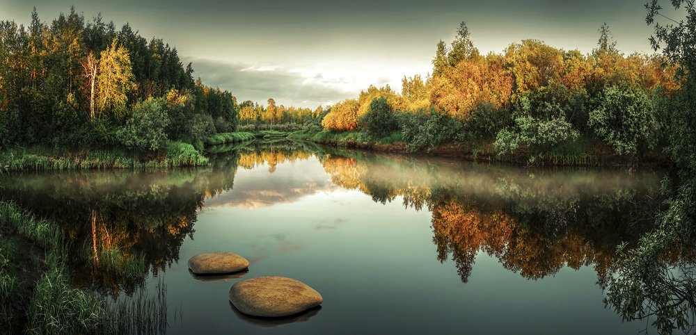 Летний туман на севере