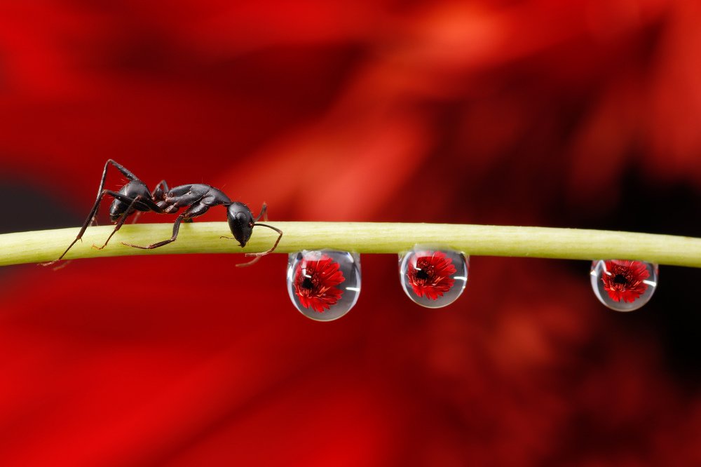 Photograph by Vishal Chandekar