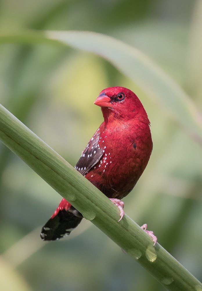 Photograph by Vishal Chandekar