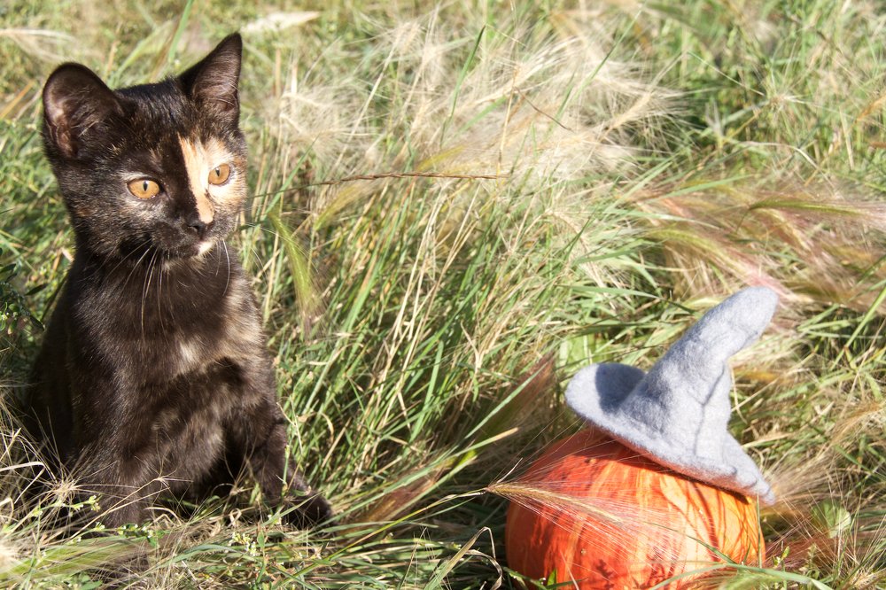 Photograph by Алёна Гильмуллина