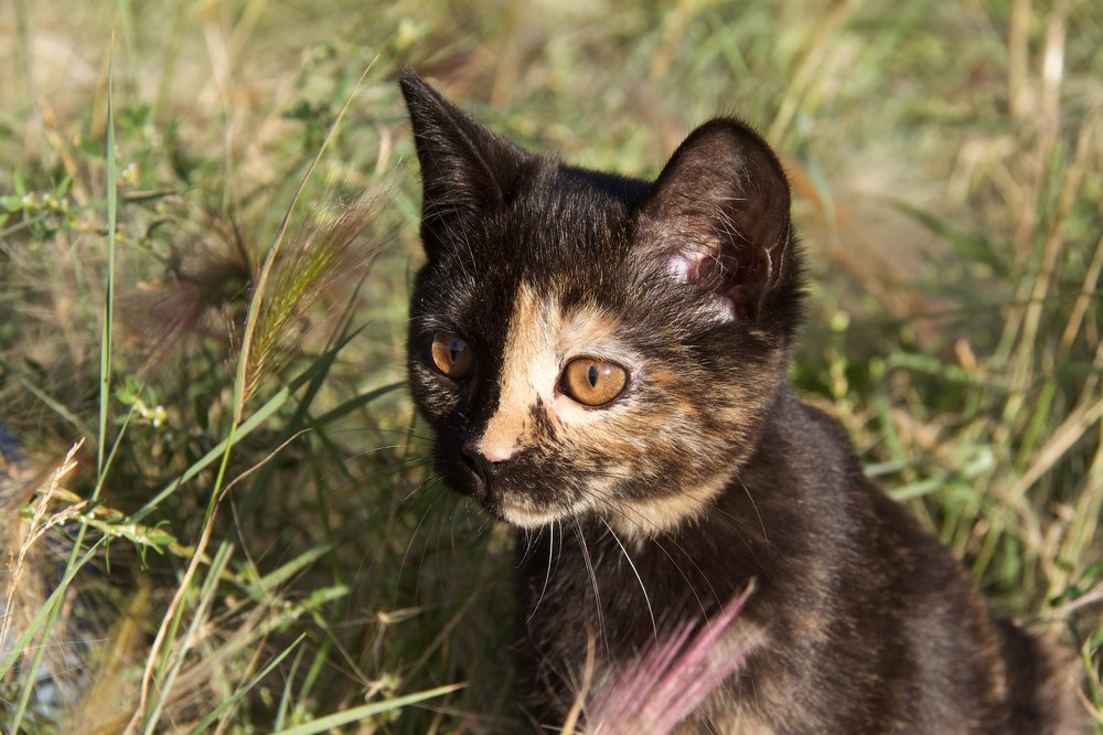 Photograph by Алёна Гильмуллина