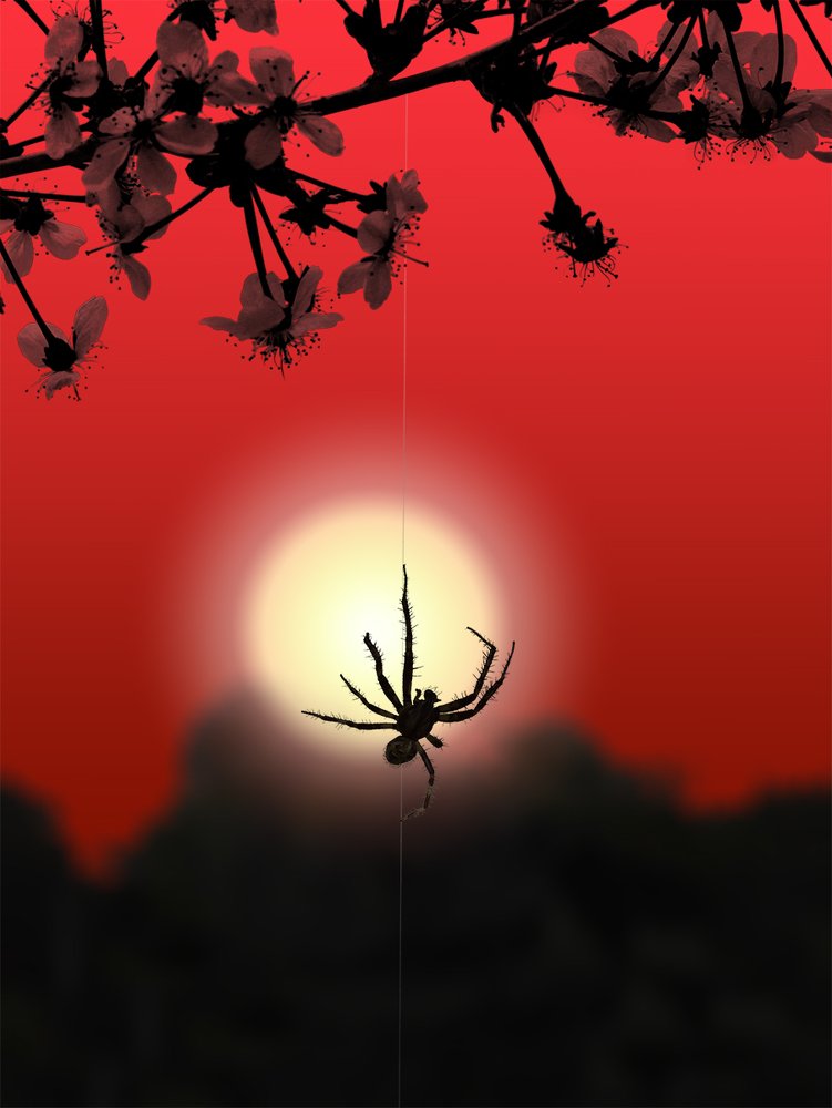 Photograph by Владимир