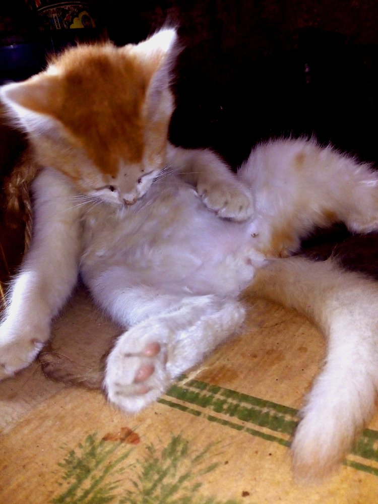 Photograph by Riaj Razib