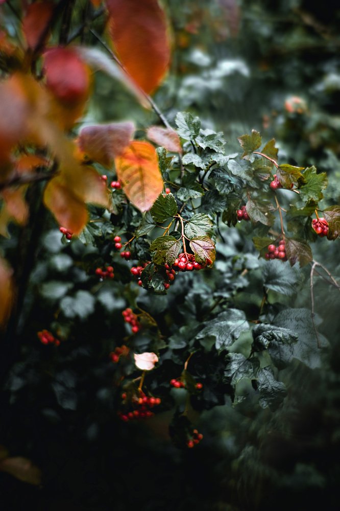 Photograph by Валерия Трушина