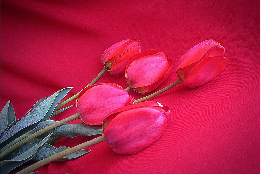 Photograph by Галья Щербина