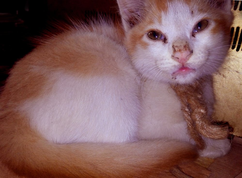 Photograph by Riaj Razib