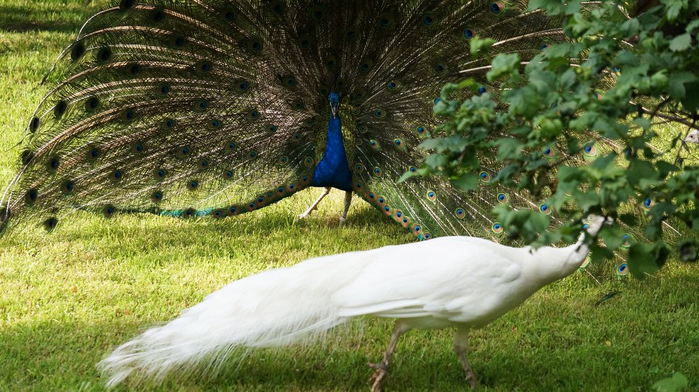 Photograph by Блюмина Елена