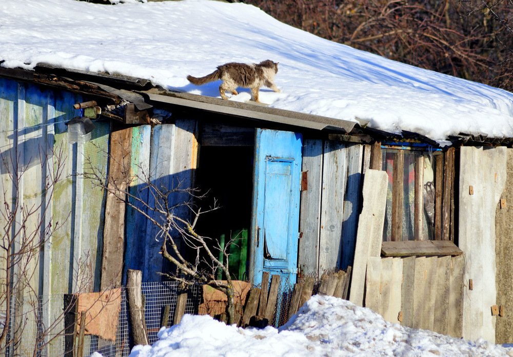 Photograph by Степанов Евгений