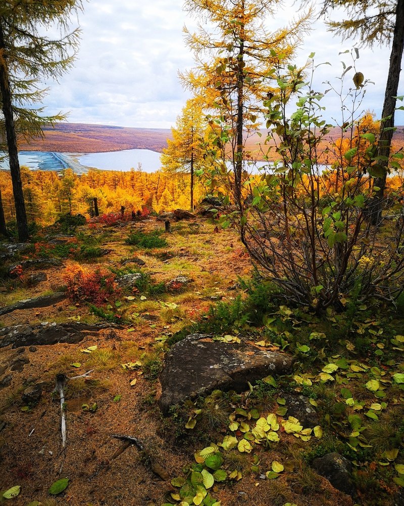 Photograph by Денис Саперов