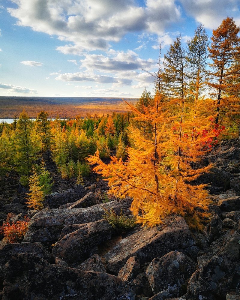 Photograph by Денис Саперов