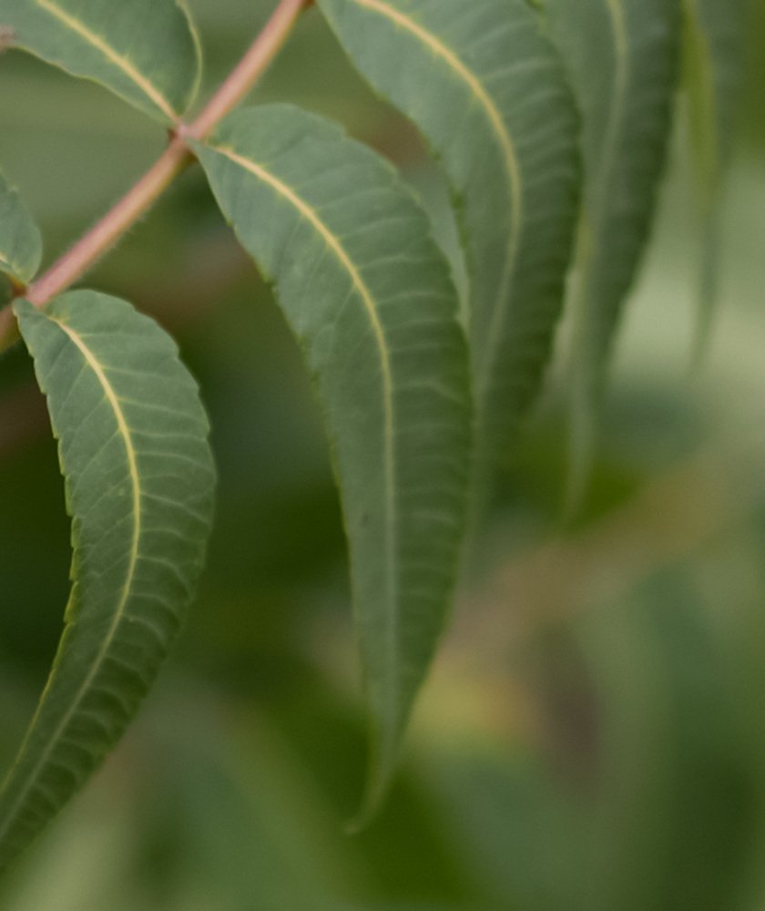 Photograph by Наталья Шалкевич