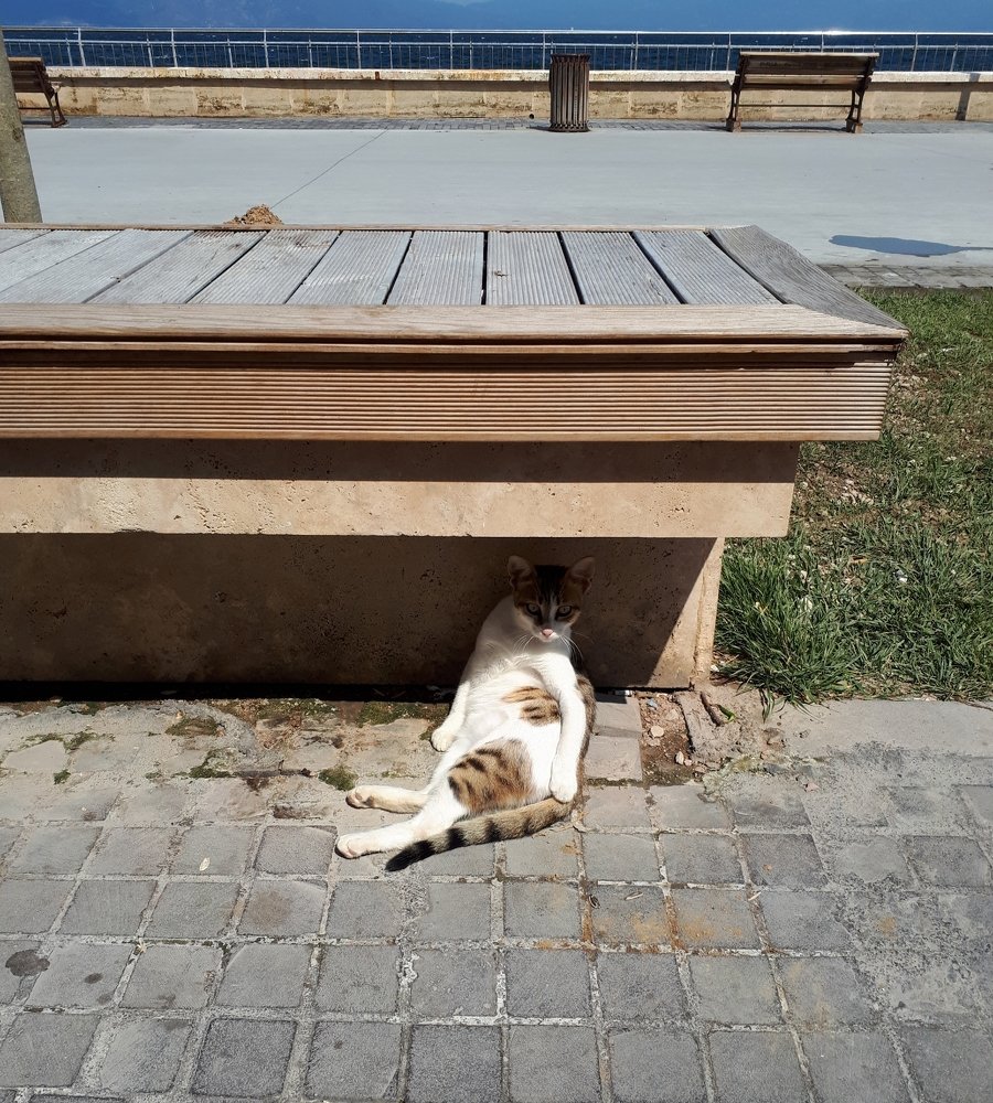 Photograph by Яна Демир