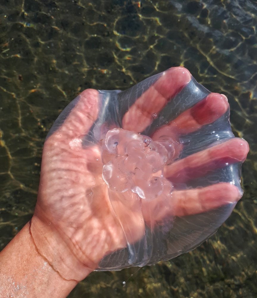 Photograph by Яна Демир