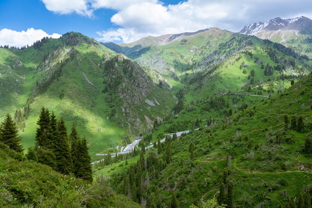 Photograph by Галина Канеева