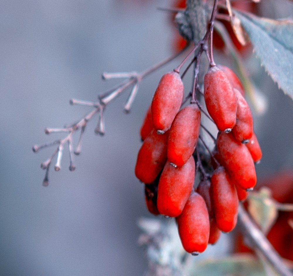 Photograph by Наталья Шалкевич