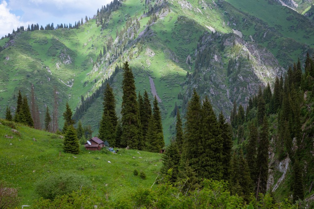 Photograph by Галина Канеева