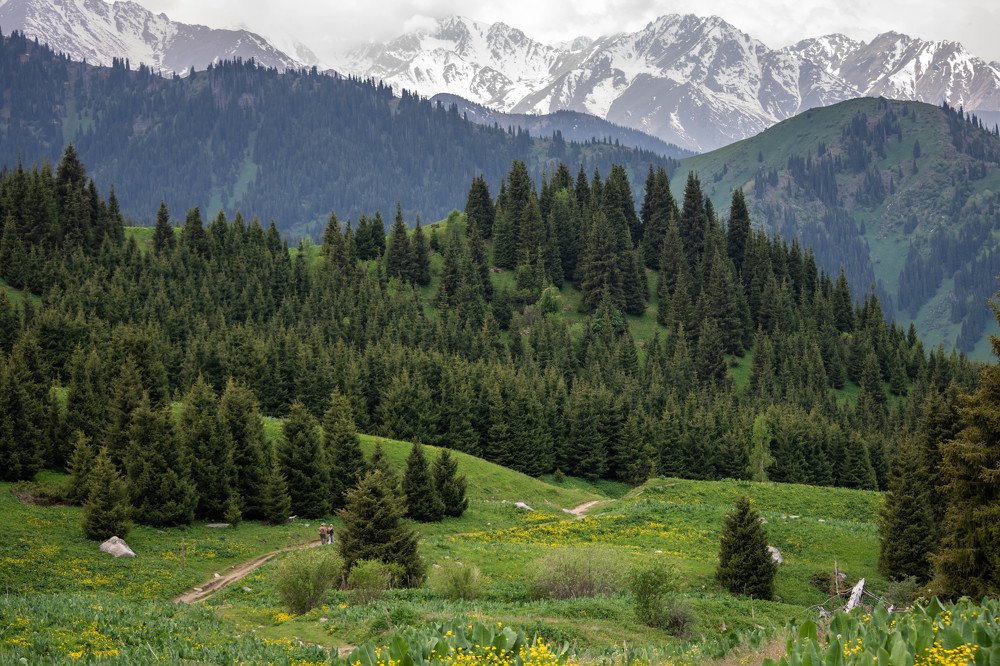 Photograph by Галина Канеева