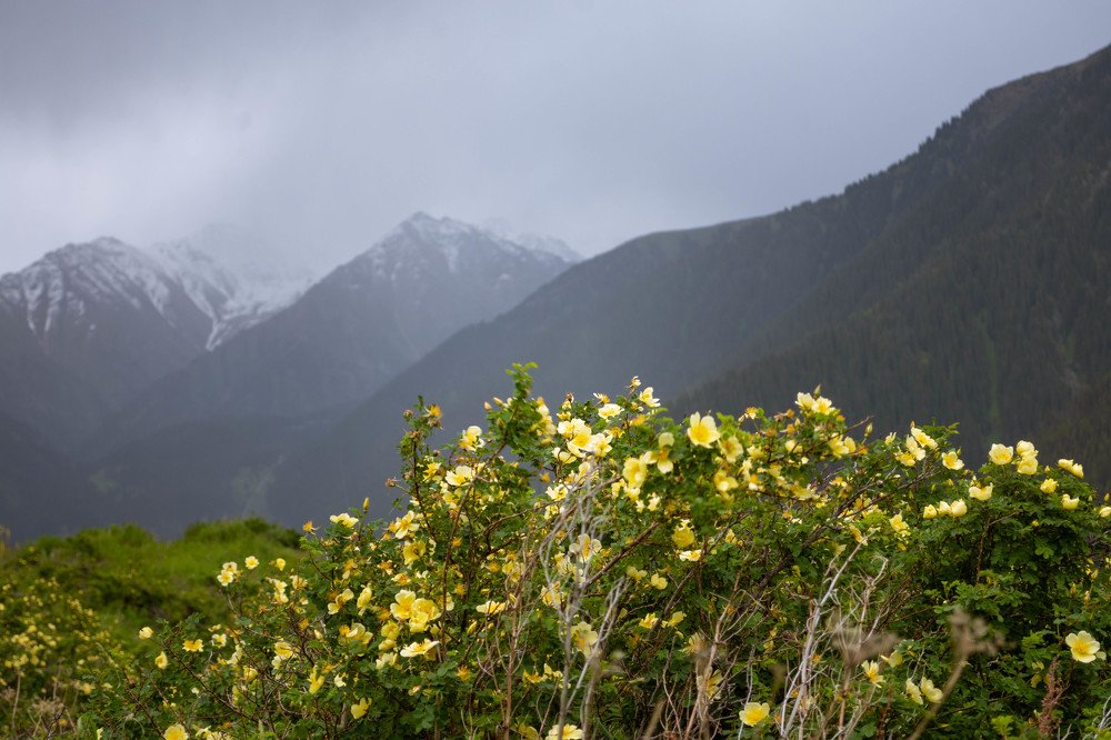 Photograph by Галина Канеева