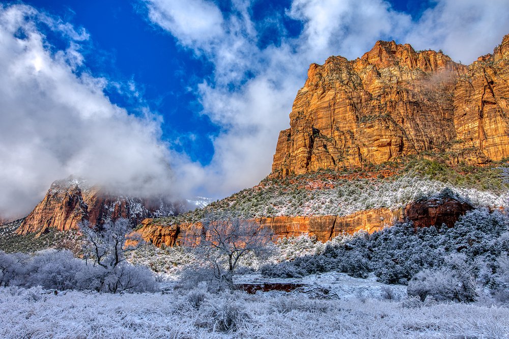 Snowy Zion