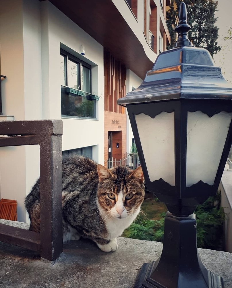 Photograph by Яна Демир