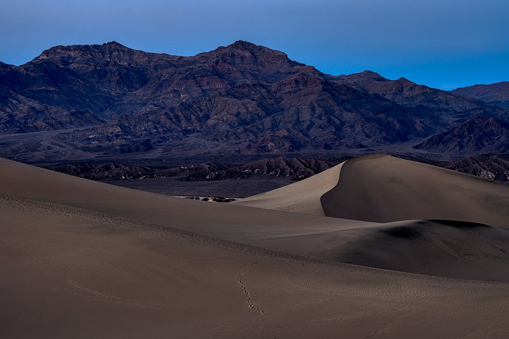 Mesquite Sand Dunes