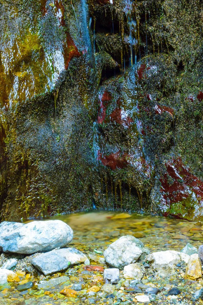 Photograph by Reyhane Ameri Pouya
