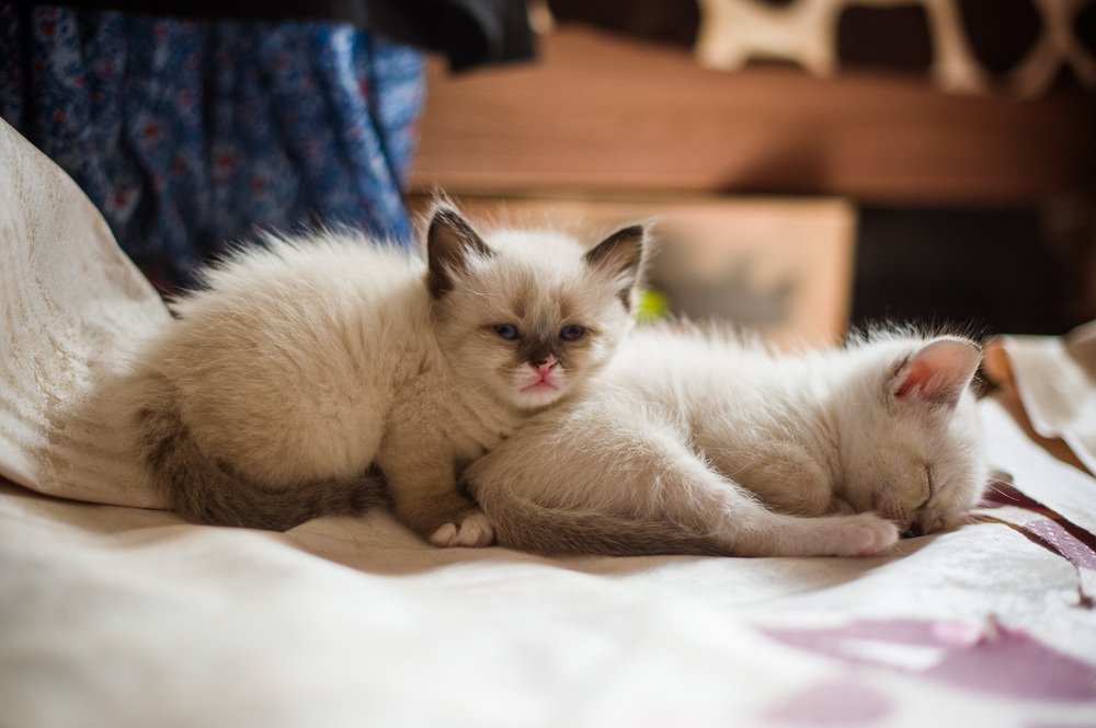 Photograph by Людмила Шикера