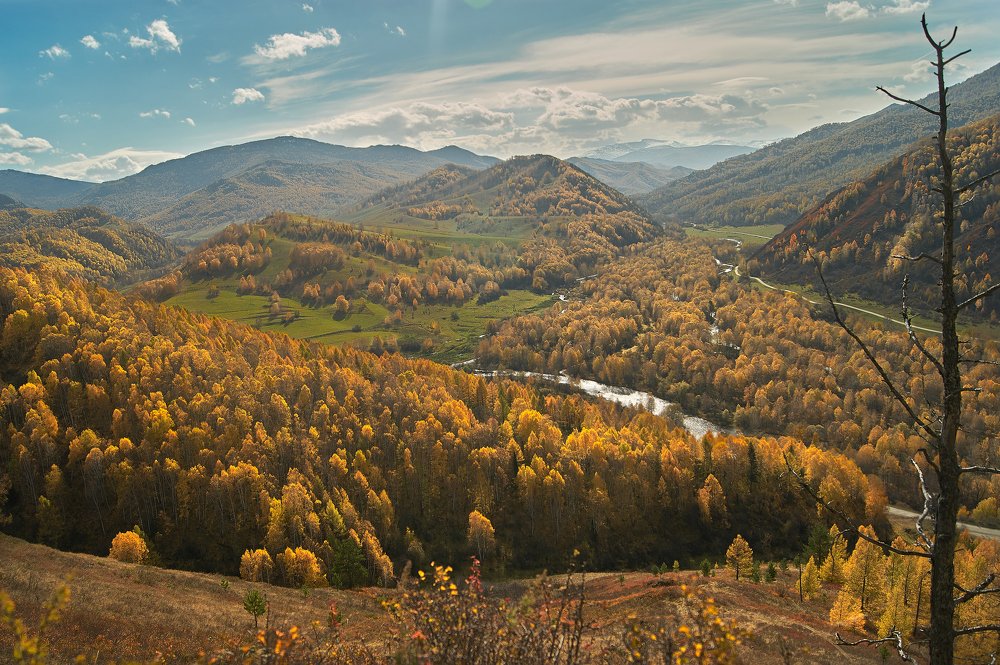 Photograph by Ирина Секачева