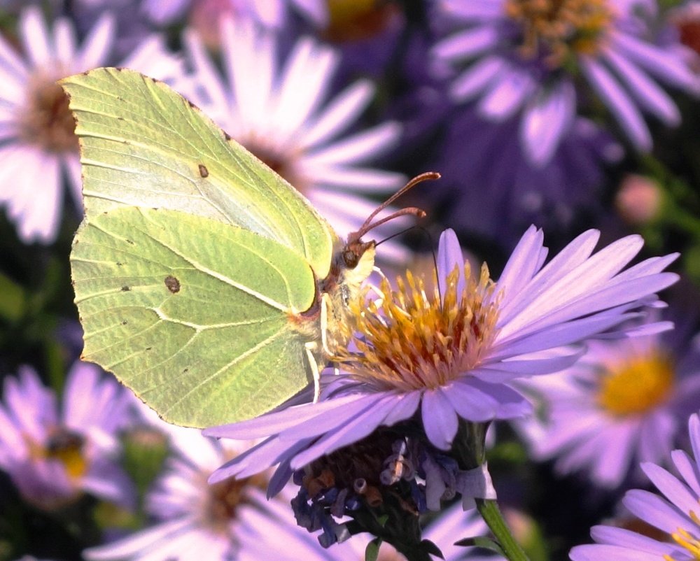 Photograph by IRINA KORNEVA