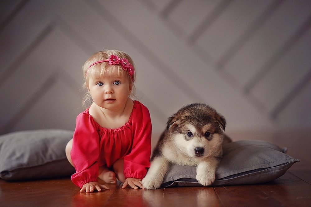 Фотография автора Любовь Белугина