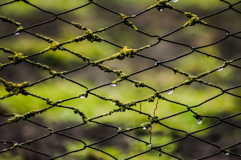 Photograph by Szilveszter Zoltan