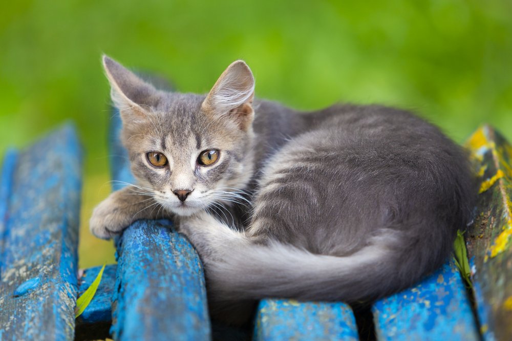 Photograph by Tudor Ghioc