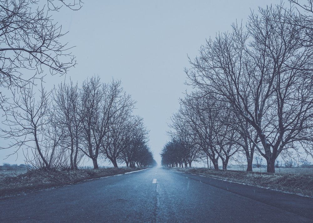 Photograph by Szilveszter Zoltan