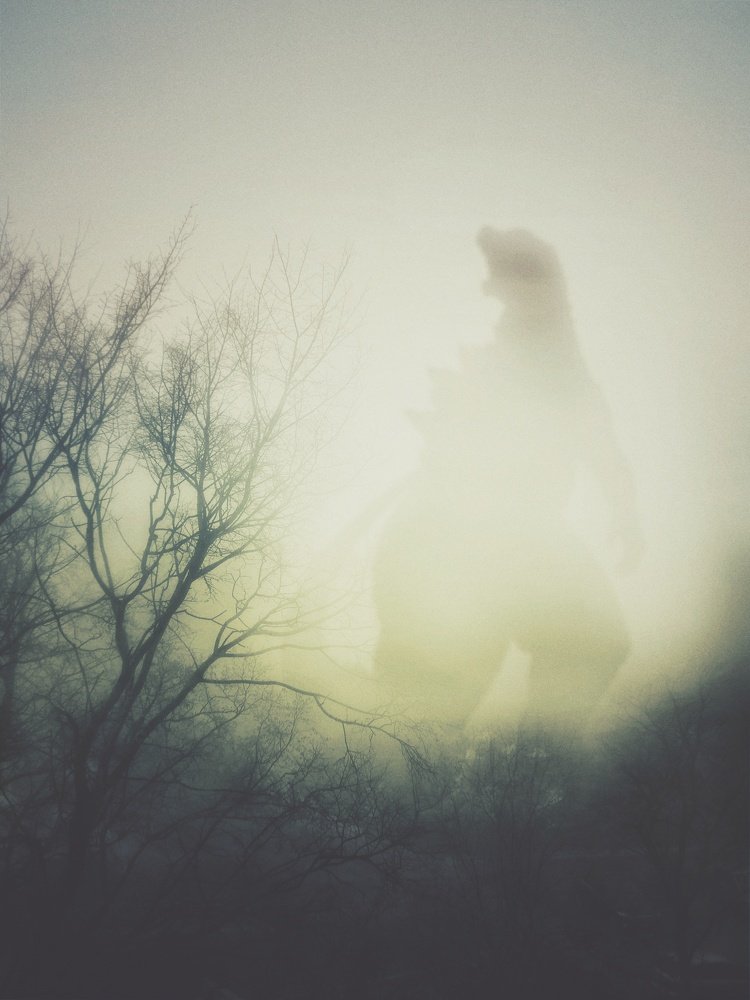 Photograph by Дмитрий Александров