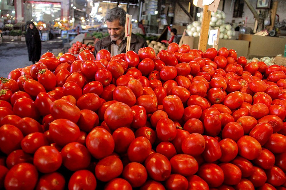 Photograph by mehdi yaghoobi