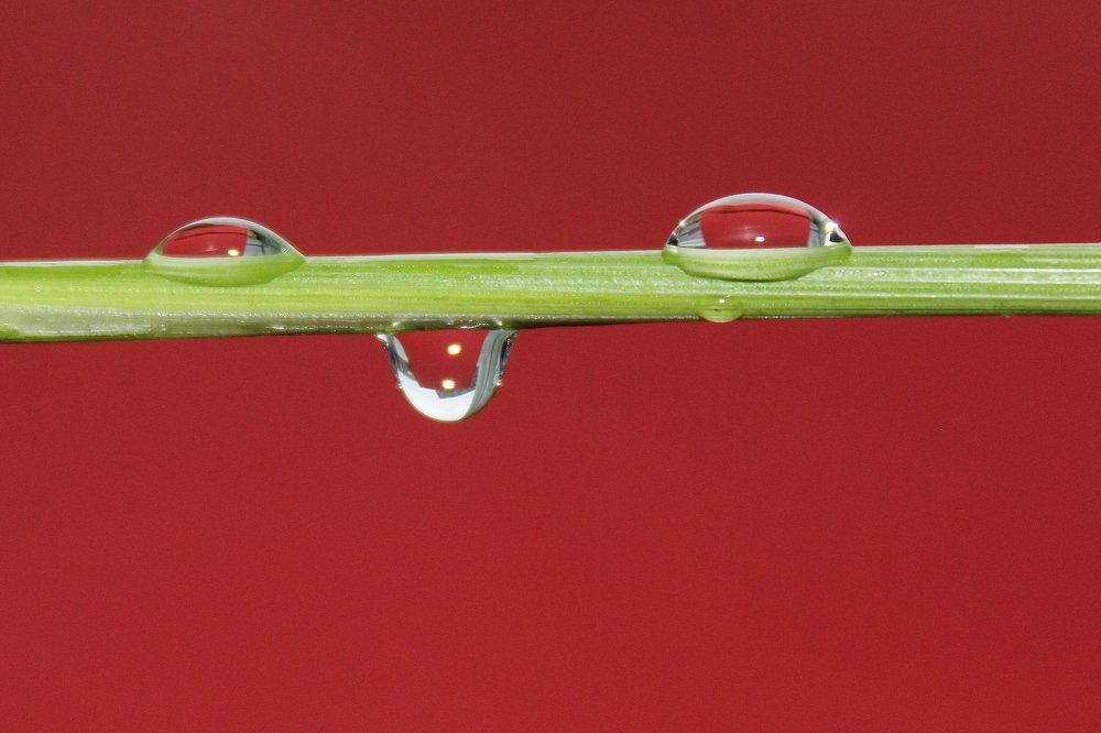 Photograph by Александр Велигура