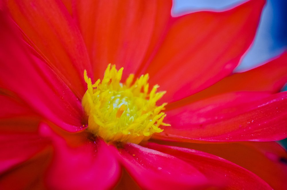 Photograph by Виктория Чушкина