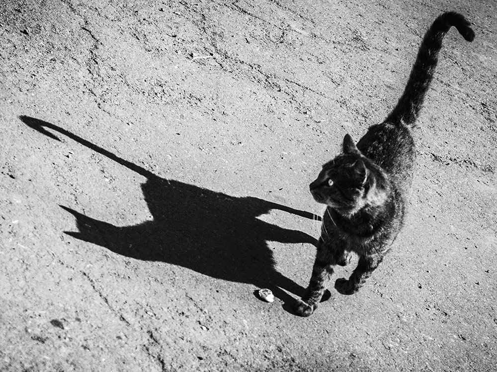 Photograph by Анна Шац