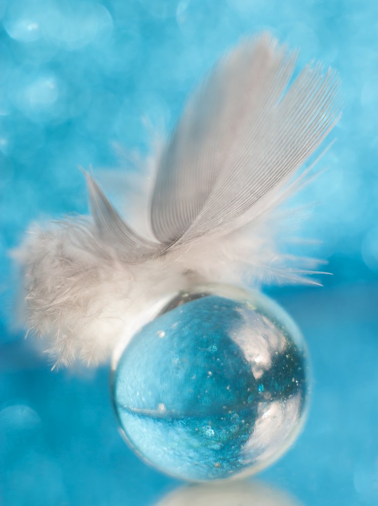 Фотография автора Мария Александрова