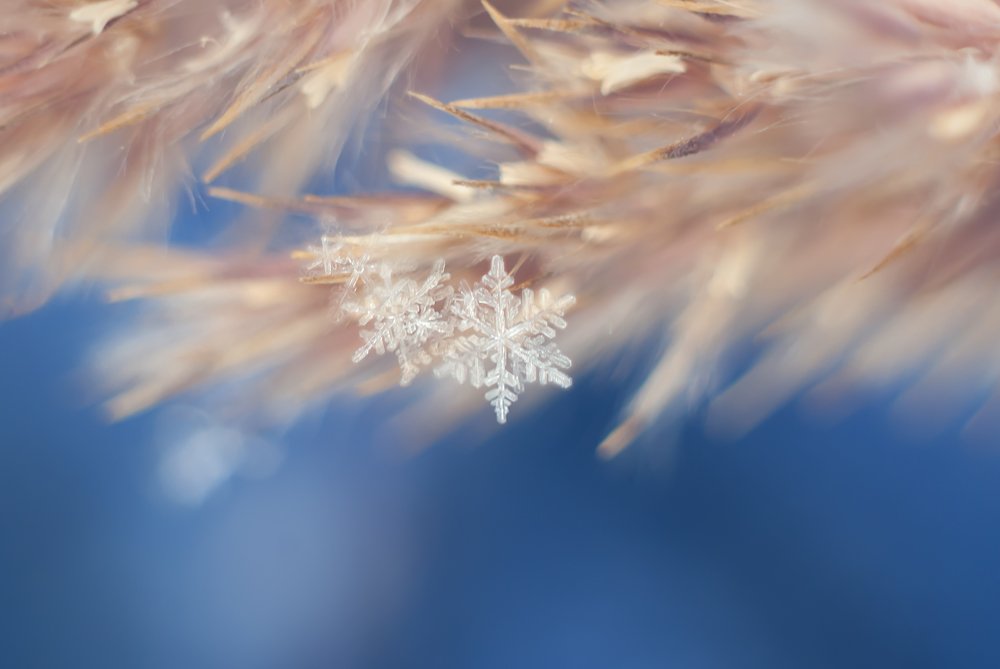 Фотография автора Мария Александрова