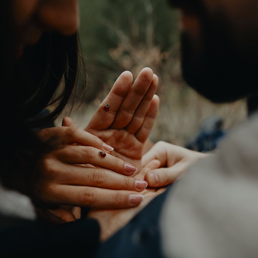 Photograph by Хайруллин Ильдар