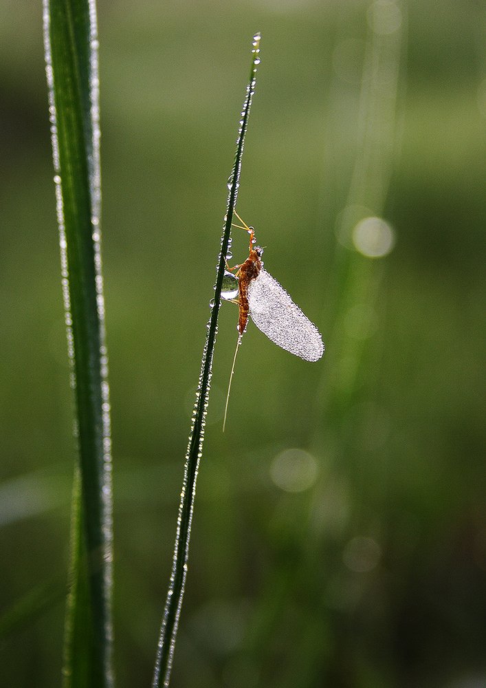 Photograph by Николай В.М.
