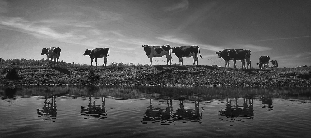 Photograph by Евгений Кравченко