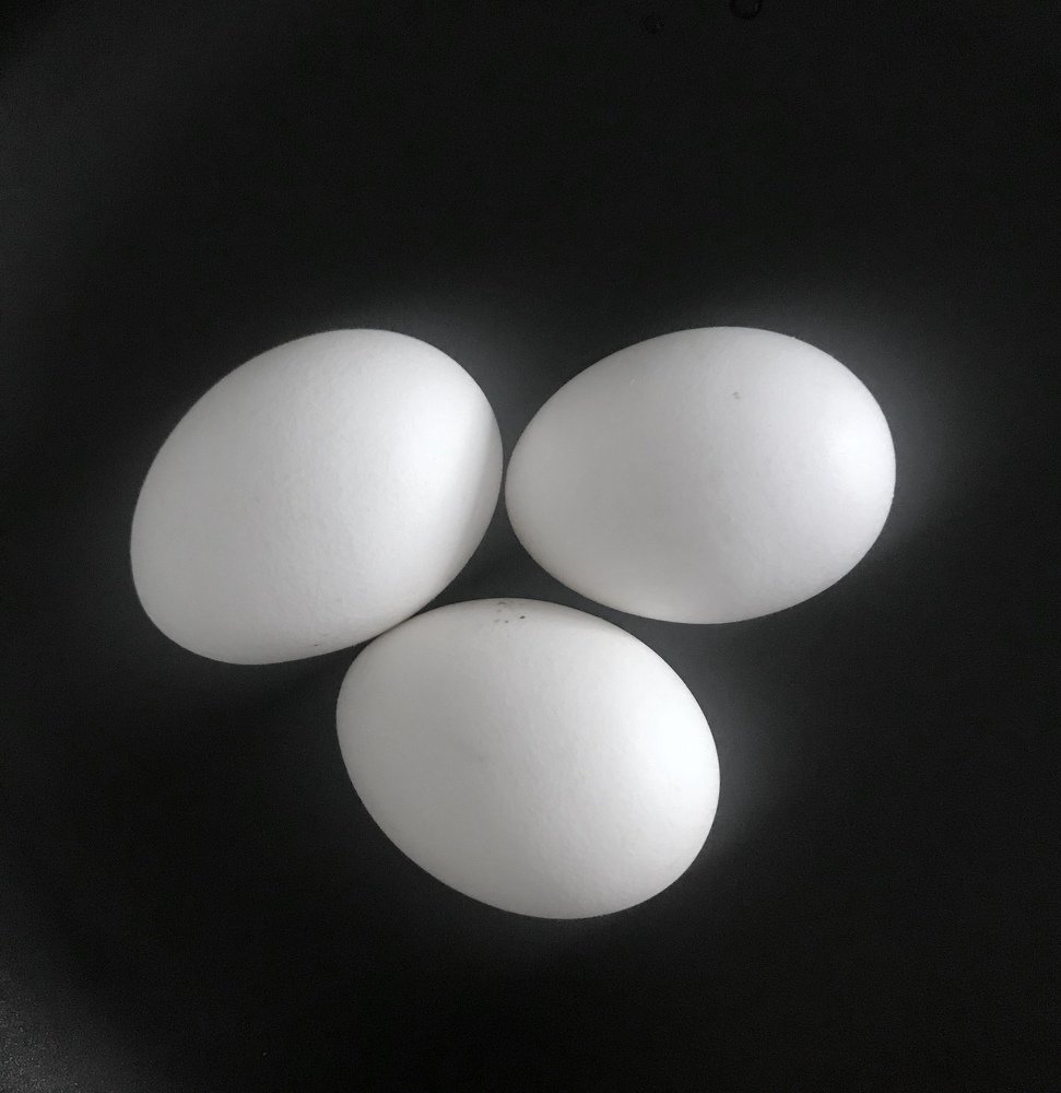 Photograph by Анар Амирова