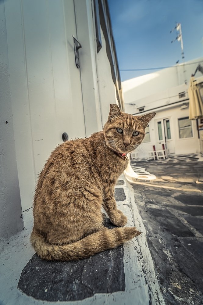 Photograph by Doros Theodorou