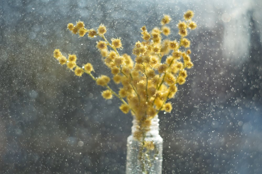 Фотография автора Мария Александрова