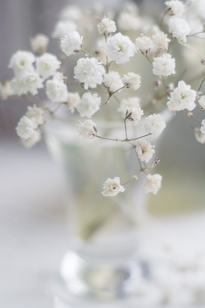 Фотография автора Мария Александрова