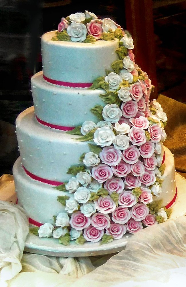 Photograph by Владимир Гречанинов